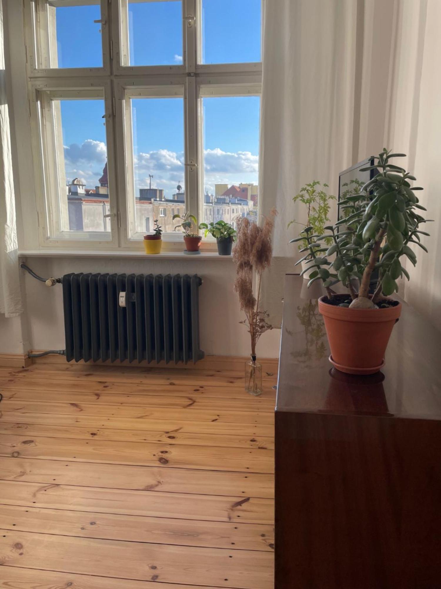 Sentymenty - Apartamenty W Kamienicy Na Mickiewicza Torun Exterior foto